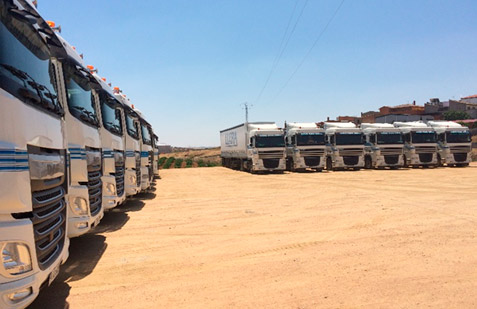Translleralva S.L. camiones estacionados